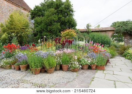 NORTHIAM GREAT BRITAIN - JUN 06 2017: Beautiful flowers and plants in pots a building in the background. June 06 2017 in Northiam Great Britain
