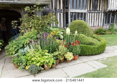 NORTHIAM GREAT BRITAIN - JUN 06 2017: PFlowers and plants in pots a building in the background. June 06 2017 in Northiam Great Britain