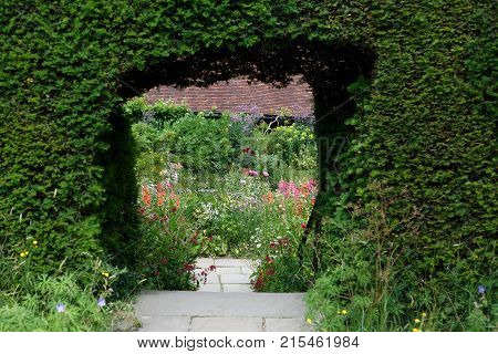 Hedge and a portal insdie a garden with flowers