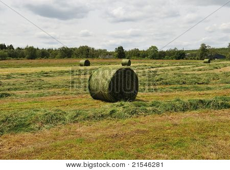 Erntezeit