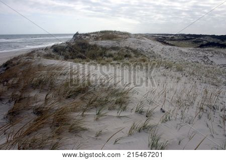 Island Beach State Park. Miles Of Sand Dunes
