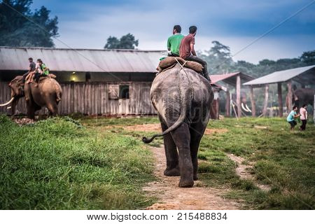 Two nepalese men riding on the elephant toward the stable, Nepal.