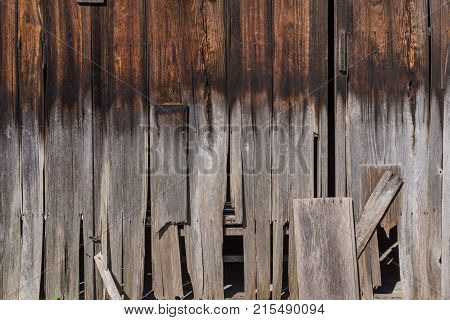 Old natural traditional japanese red pine wood with decay and pale color at the bottom half wall as texture or background.