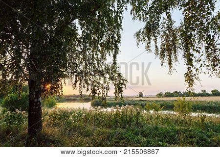 Nature of Central Russia. A quiet warm evening at the pond.