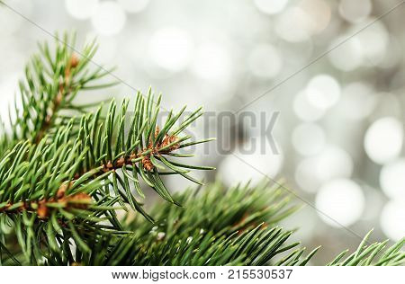 Silver Christmas Background