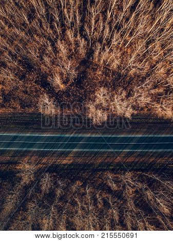 Aerial view of brand new asphalt road through deciduous autumn forest woodland concept of journey and travel through nature in fall season
