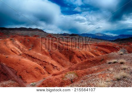 Amazing colors and shape of the rocks in Valley of Fire State Park, Nevada, USA