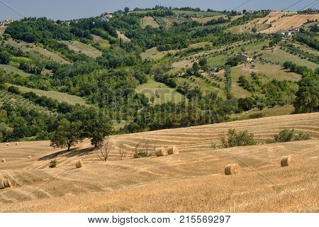 Landscape Near Ascoli Piceno At Summer