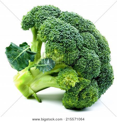 One Fresh Ripe Raw Fresh Broccoli with Leafs closeup on White background