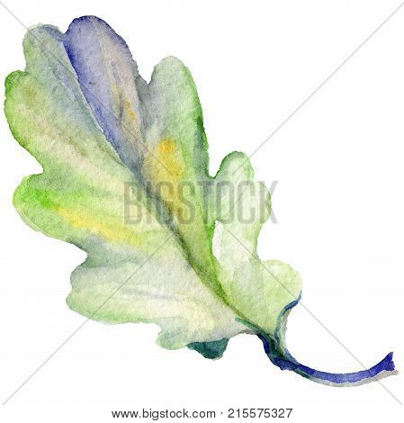 Forest acorn in a hand drawn watercolor style isolated. Aquarelle acorn for background, texture, wrapper pattern, frame or border.