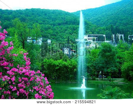 In the foreground there is a bush with very beautiful dark pink flowers. Behind them is a pond with green water. In the center of the pond is a fountain in the form of a man shooting from a bow in the sky. A jet of water flies out of the boom to a greater