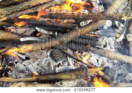 Bonfire in the forest ready for barbeque