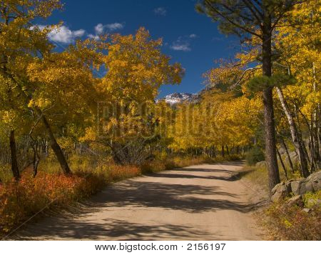 Aspen Road