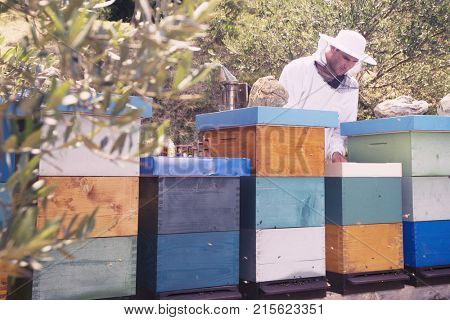 Honey bee hives and bee keeper working 