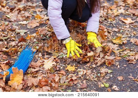 A girl in a pink jacket, sitting in an autumn park, collects the fallen leaves.