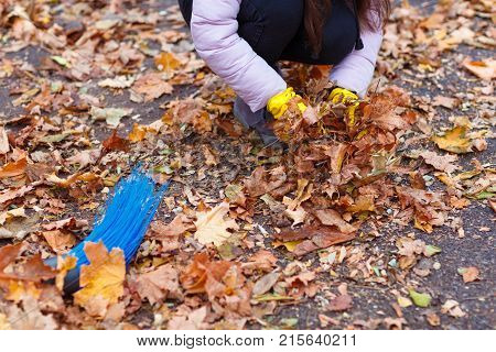 A girl in a pink jacket, sitting in an autumn park, collects the fallen leaves.