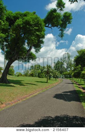 Pathway Landscape