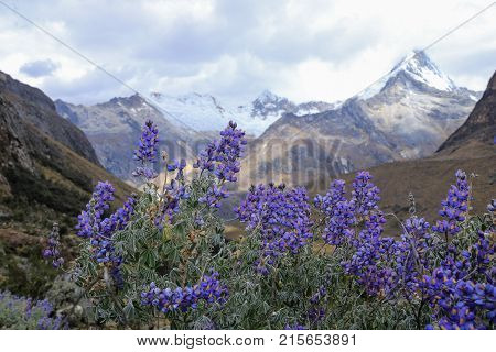 The sants cruz hike in Huascaran national park
Los andes, Peru