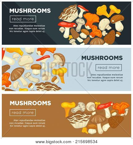 Natural ripe mushrooms from forest grown without pesticides in big heap on informative Internet pages templates with sample text and buttons to read more cartoon flat vector illustrations set.