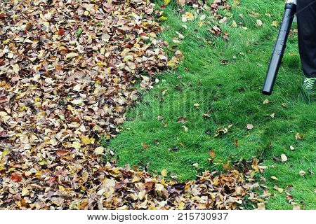 Gardener clearing up the leaves using a leaf blower tool .