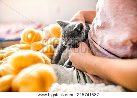 Small business of a young woman. Unrecognizable young woman with a kitten hand-knitting a wollen blanket.