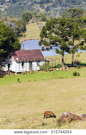 Farm Road In Valley And Mountains In Nova Petropolis