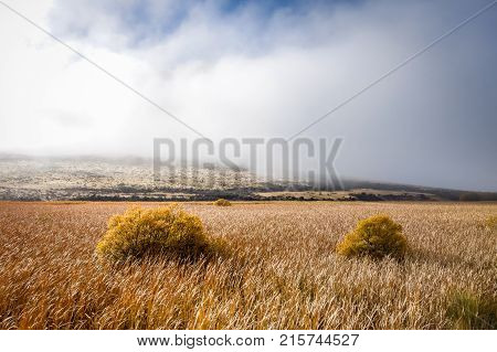 Mountain Fields Landscape In New Zealand