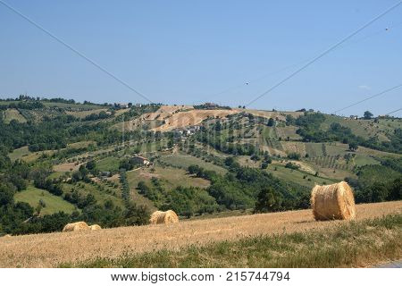 Landscape Near Ascoli Piceno At Summer