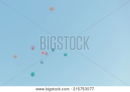 Colorful Balloons in The Sky. Flying Balloons.