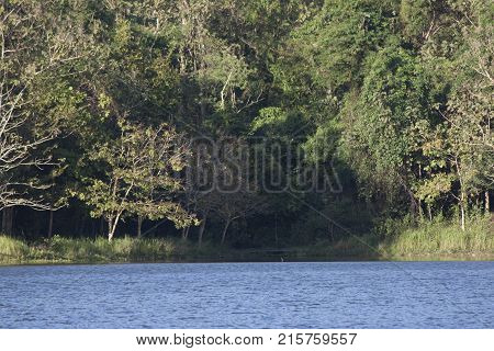 Landscape Mountain River View Bridge Pathway Around The River Of Ched Khot - Pongkonsao Natural Stud