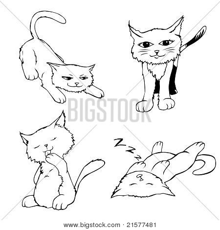 Cartoni animati gattino