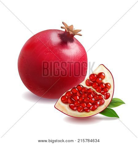 Pomegranate or garnet realistic isolated on white vector.