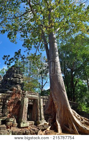 Bantey Khde Temple In Angkor Wat, Cambodia