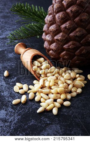 spoon with pine nuts with pinoli pine cones in the background.
