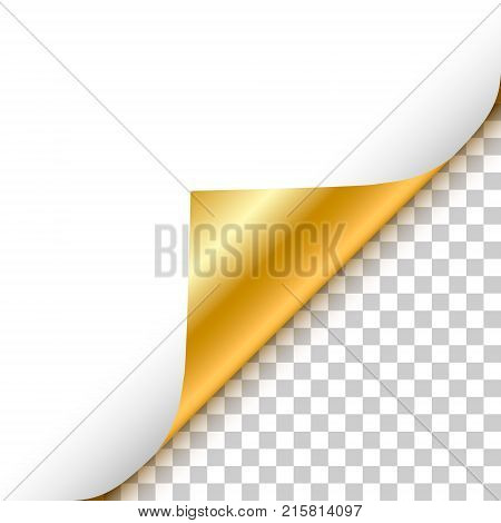 Gold curled corner with reflection and shadow on transparent background realistic vector illustration.