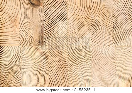 Wood structure background. Lumber industrial wood texture timber butts background. Butt end of a processed wooden beam. Glued beams