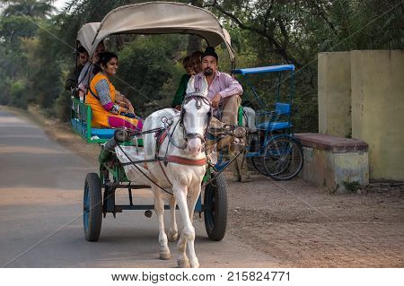 Bharatpur, India - November 11: Unidentified People Ride In A Horse Cart In Keoladeo Ghana National