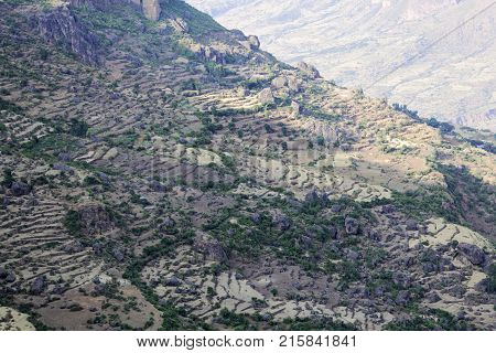 Field Terraces In The Ethiopian Mountains