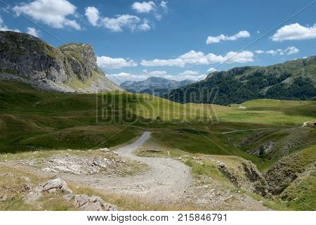 winding dirt road on green meadow in Lukavica Plateau, Montenegro