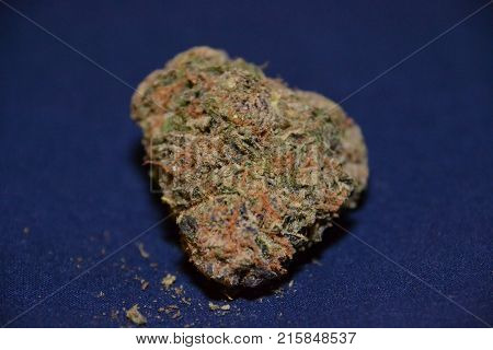 Large Cannabis Bud (flower). Cannabis Is Used Medicinally And As Well As For Recreation Purposes