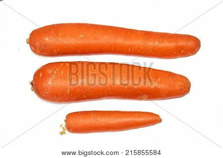 Three whole carrots isolated on a white background. Isolate.