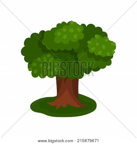 Summer sprawling tree vector Illustration isolated on a white background