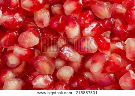 Red Background of Grain Red Grenades. Big Ripe Red Granets or Garnets. Fruits of Red Ripe Pomegranate on the White Background. Vegetarian Concept Organic Vitamins. Organic and Benefit Garnet Fruit.