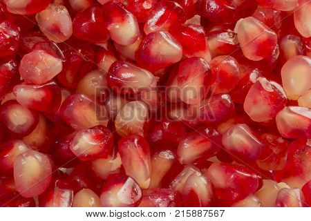 Red Background of Grain Red Grenades. Big Ripe Red Granets or Garnets. Fruits of Red Ripe Pomegranate on the White Background. Vegetarian Concept Organic Vitamins. Organic and Benefit Garnet Fruit.