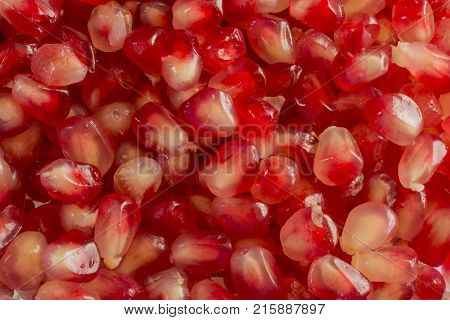 Red Background of Grain Red Grenades. Big Ripe Red Granets or Garnets. Fruits of Red Ripe Pomegranate on the White Background. Vegetarian Concept Organic Vitamins. Organic and Benefit Garnet Fruit.