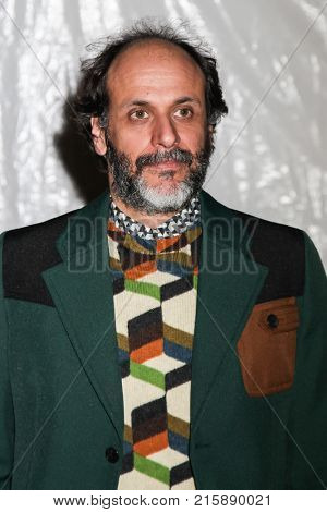 NEW YORK, NY - NOVEMBER 27: Luca Guadagnino attends the 2017 IFP Gotham Awards at Cipriani Wall Street.