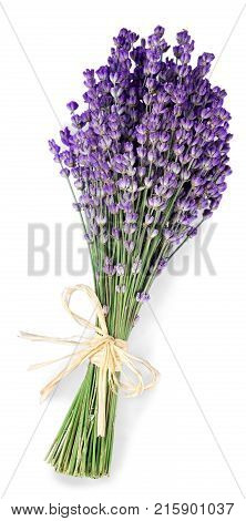 Flowers bouquet lavender color white background vibrant