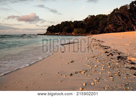Tropical beach with natural sunset light Anse Severe La Digue Seychelles
