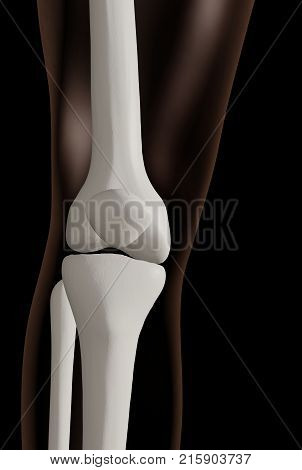 3d Rendering Of Knee Joint Isolated Over Black Background
