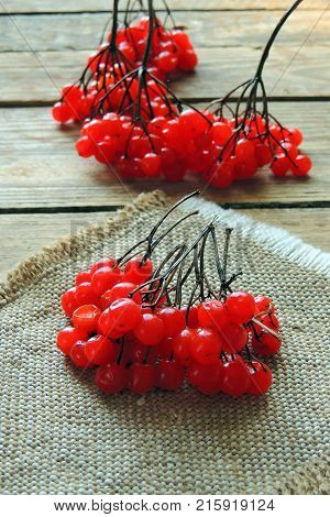 Red ripe Viburnum, kalina in autumn on wooden background